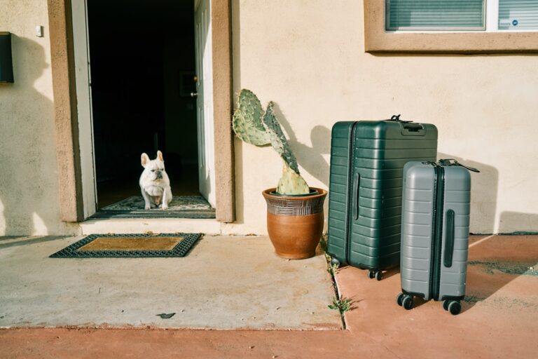 How to Choose the Best Luggage for Your Journey